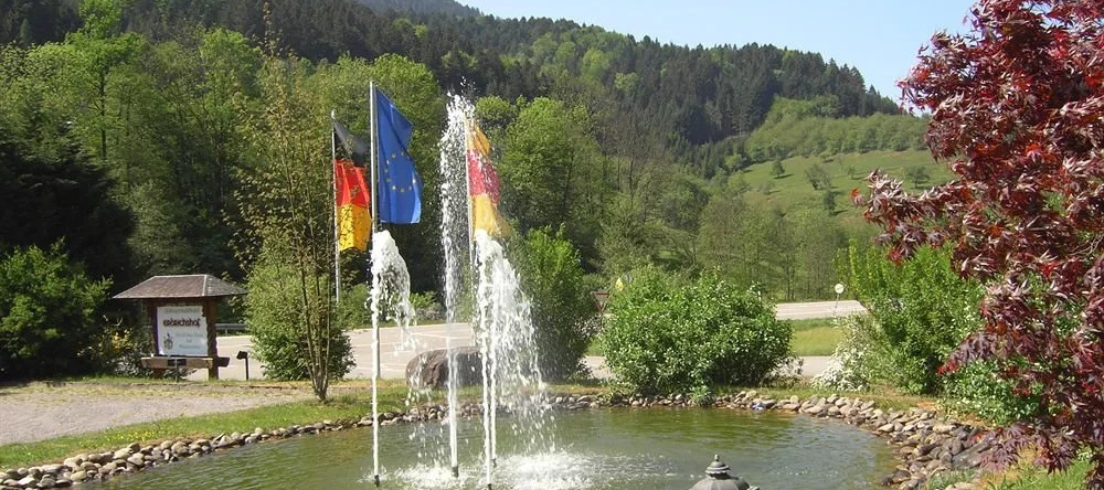 Schwarzwaldhotel Erdrichshof, 奥珀瑙 — 照片 1