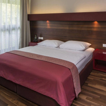 Asia Hotel & Spa Leoben, Леобен — фото 4