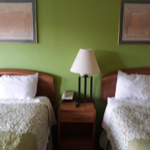 Oyo Hotel Williamston, Уильямстон — фото 2