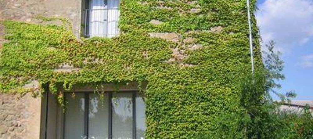 Villa With 4 Bedrooms in Pouzols Minervois , With Private Pool, Enclos, 普佐尔米内尔瓦 — 照片 1