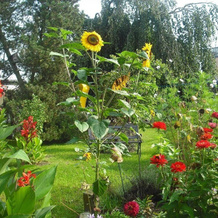 Ferienwohnung-der-Familie-Thierse, Stolpen — photo 4