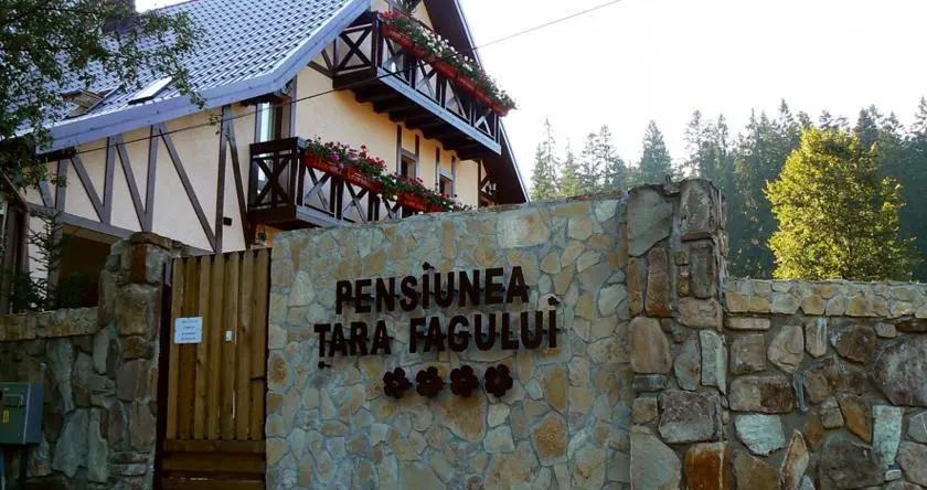Pension Buchenland, Сучевица — фото 1