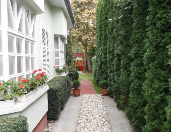 Csokonai guesthouse, 佐马尔迪 — 照片 1