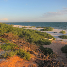 Heritage Resort Shark Bay, 德纳姆 — 照片 4