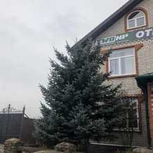 Twonp, Хмелинец — фото 3
