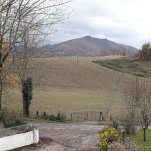 Guéraçague Etcheverry Garaya, Юарт-Сиз — фото 4