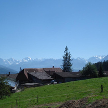 Bed+Breakfast Mynoflen, Фрутиген — фото 5