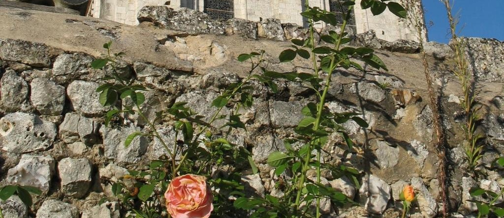 Chambres D'hôtes Les Hostises de Boscherville, 圣马丁德博舍维尔 — 照片 1