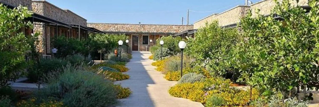 Volito Hotel - Rural Experience, 帕图 — 照片 1