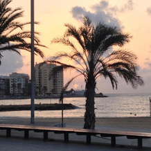 Sunny fiat, Torrevieja — photo 4