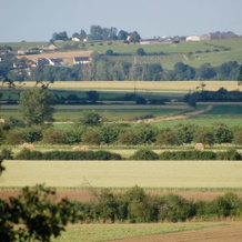 Gite Rural Le Balloir, Lys-Haut-Layon — photo 2