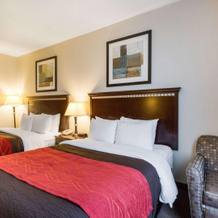 Comfort Inn & Suites Winnie, 温尼 — 照片 5