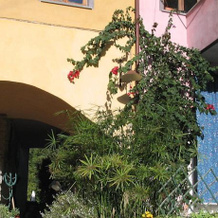 Il Borgo della Colomba, Fosdinovo — photo 4