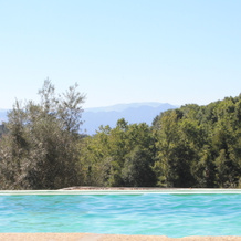 Quinta do Rapozinho Guest House, 卡贝塞拉斯德巴斯托 — 照片 4