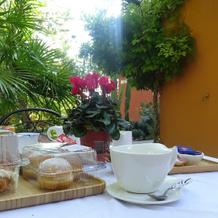 Garden FuoriRotta, San Giovanni Teatino — photo 5