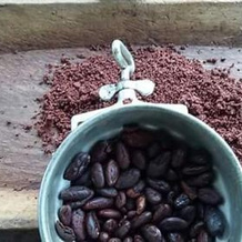 Cabañas Finca Santa Martha, 洛斯纳兰霍斯 — 照片 4