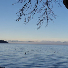 Seehotel Pegasus, Херршинг ам Аммерзи — фото 5