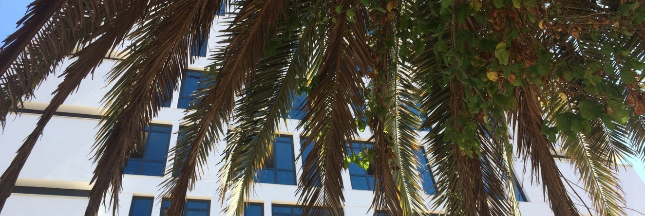 Aselia Hotel Trabzon, Yomra — photo 1