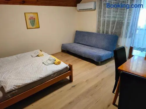 Joky Katona Rooms & Apartments, 帕利奇 — 照片 1