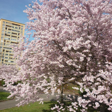 L'orée Du Parc À Belfort, Бельфор — фото 2