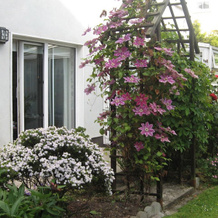 Green Hill B&B, Баллина — фото 5