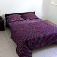 Villa With 2 Bedrooms in Anse-bertrand, With Furnished Garden and Wifi, 昂斯贝特朗 — 照片 2