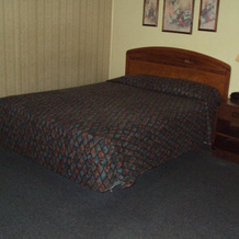 Heidelberg Motel by Capital O Bridgeport Frankenmuth I 75, 切萨宁 — 照片 4