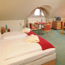 TOP martas Hotel Lutherstadt-Wittenberg, 维滕贝格 — 照片 5