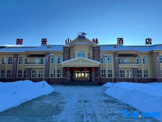 Mohe Yujing Mountain Forest Hotel (Arctic Village), Мохэ — фото 1