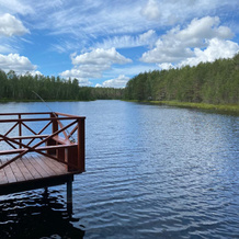 Moroshka Eko Villadzh Hotel, Pervomaiskoe — photo 3