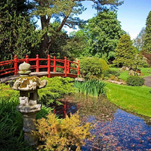 The Curragh Country House Accommodation, 阿西 — 照片 5