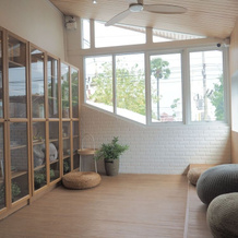 Nornnuea at Inthanon, 班銮 — 照片 2