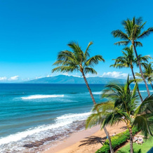 Mahana 3 Free Rental Cars KBM Resorts Oceanfront 2-bedroom Villa At Mahana Resort 3 Units, 6 Bedrooms Ml-1195, 卡阿纳帕利 — 照片 5