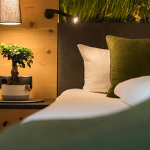 Aktiv Panoramahotel Daniel, 佐特兰德 — 照片 4