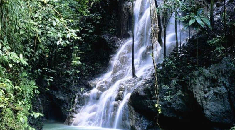 Sinharaja Eco Lodge, Поддана — фото 1