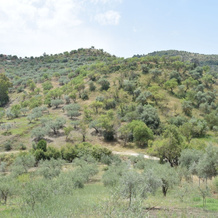 Cosy Holiday Home With A Beautiful View, All On Ground Floor,Near Coín And Guaro, Гуаро — фото 2