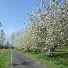 Moulin de la Fosse Soucy, 梅松 — 照片 2