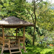 Takulan Hot Spring Resort, 信宜 — 照片 4