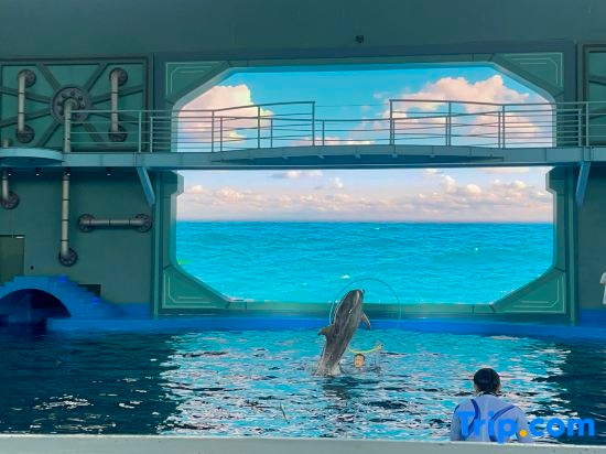 Castle Hotel Ocean Flower Island, Даньчжоу — фото 1
