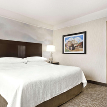 Embassy Suites By Hilton Chicago North Shore Deerfield, Дирфилд — фото 2