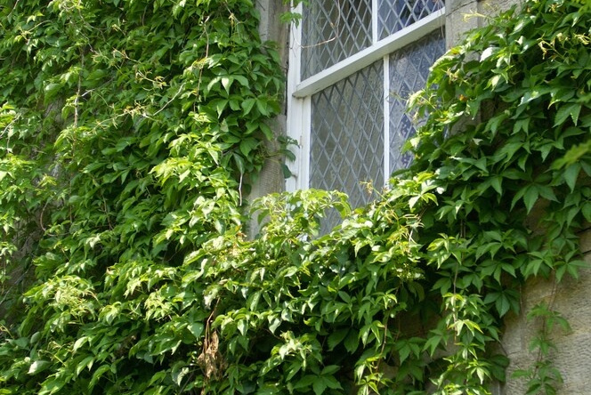 Traquair Arms Hotel, Иннерлейтен — фото 1