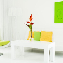Le Cameleon Puerto Viejo, 科克莱斯 — 照片 5