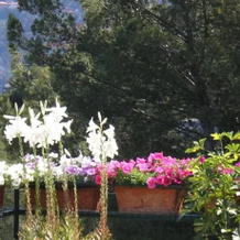 Hotel Locanda Dei Fiori, Laigueglia — photo 4