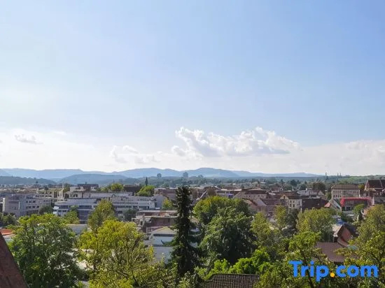 Vacation Villa With A Pool And A View, Нюртинген — фото 1