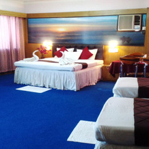 Rajhans Hotel and Resort, 拉伊查克 — 照片 3