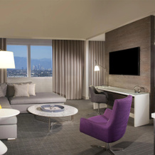 Hyatt Regency Los Angeles International Airport, 洛杉矶 — 照片 5