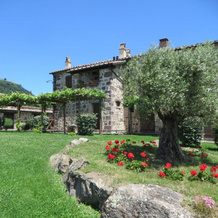 Appartamento Melograno In Casale Con Piscina - Val D'orcia, Радикофани — фото 4