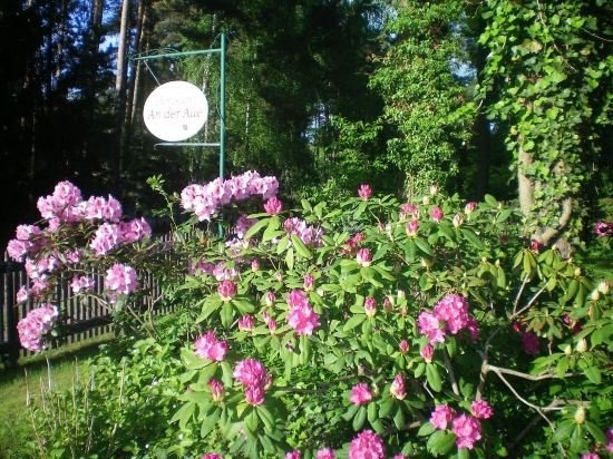 An der Aue, 米兴多夫 — 照片 1
