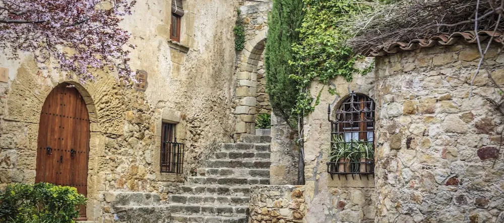 Arkhé Healthy Stay Pals, Pals — photo 1