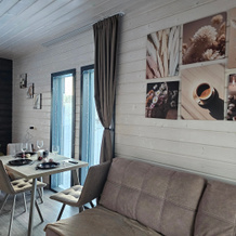 Kottedzh Chernichny Sklon Small House Private house, 索斯诺夫斯基耶戈尔基 — 照片 4